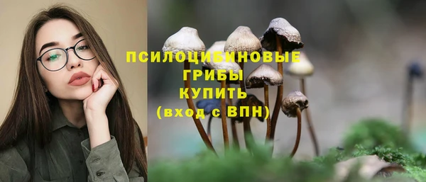 спиды Абдулино